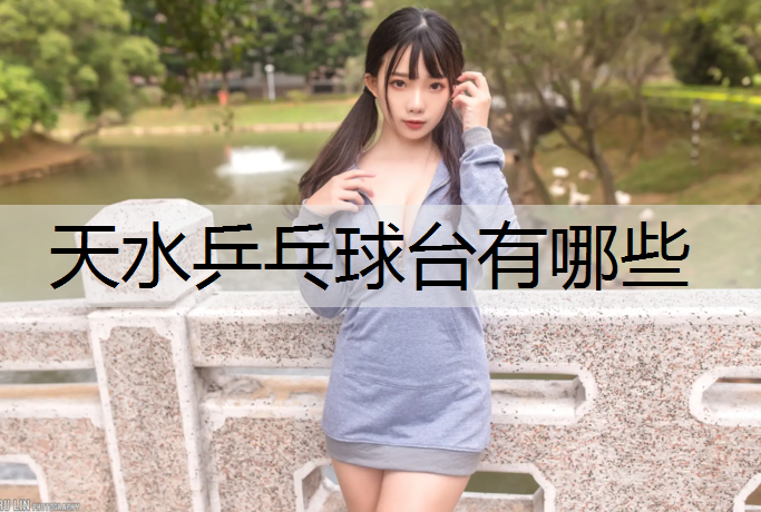 天水乒乓球台有哪些