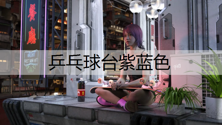 乒乓球台紫蓝色