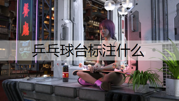 乒乓球台标注什么