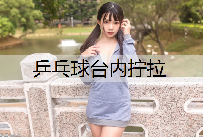 乒乓球台内拧拉