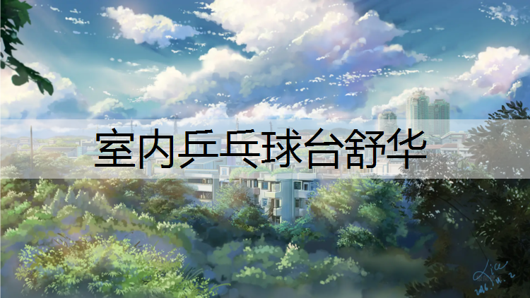 室内乒乓球台舒华