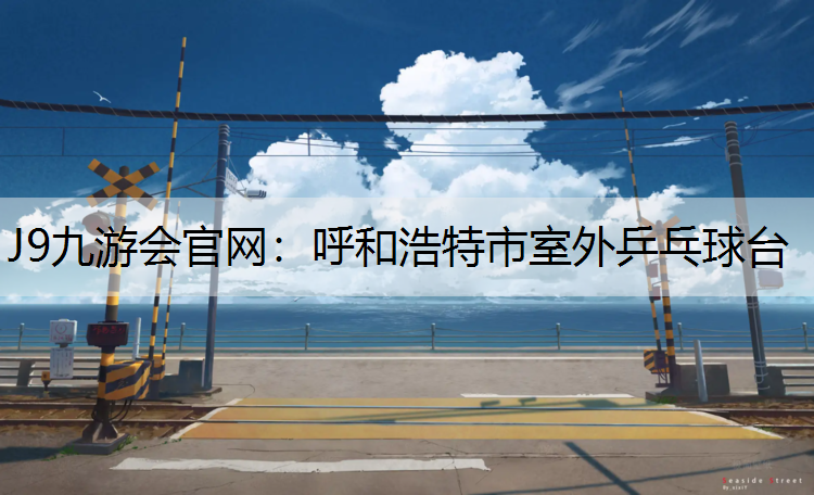 J9九游会官网：呼和浩特市室外乒乓球台