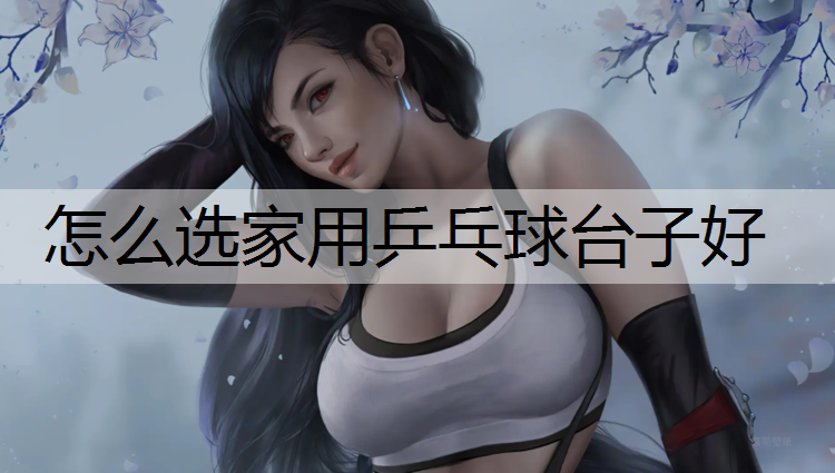 怎么选家用乒乓球台子好