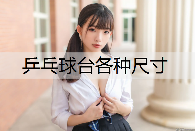 乒乓球台各种尺寸
