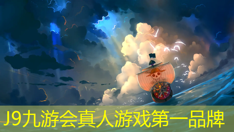 J9九游会真人游戏第一品牌：鹿寨艺术体操垫
