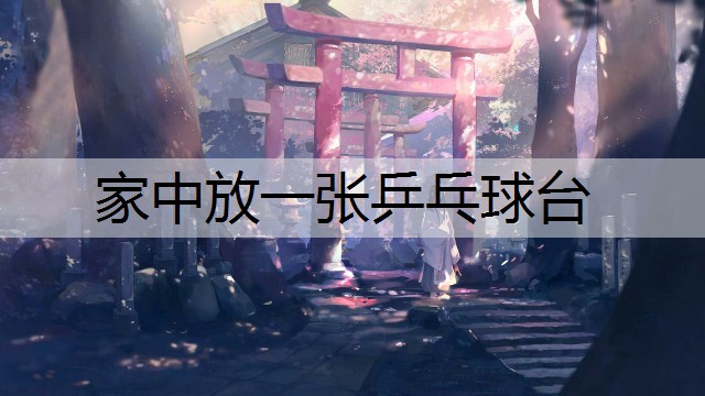 家中放一张乒乓球台