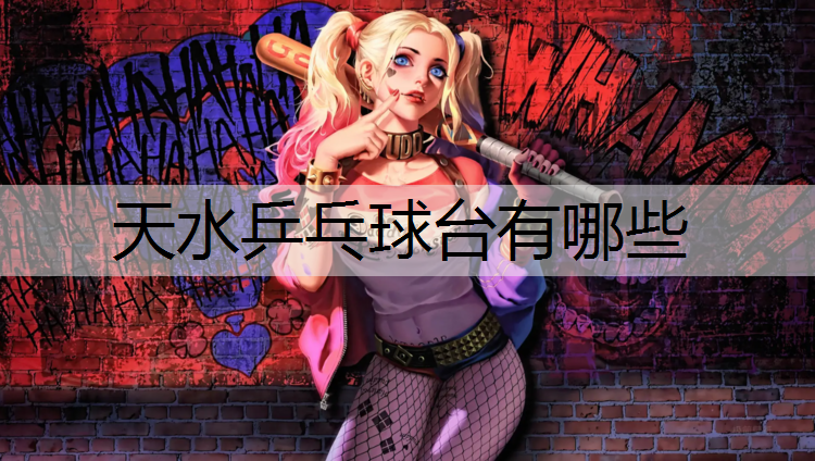 天水乒乓球台有哪些