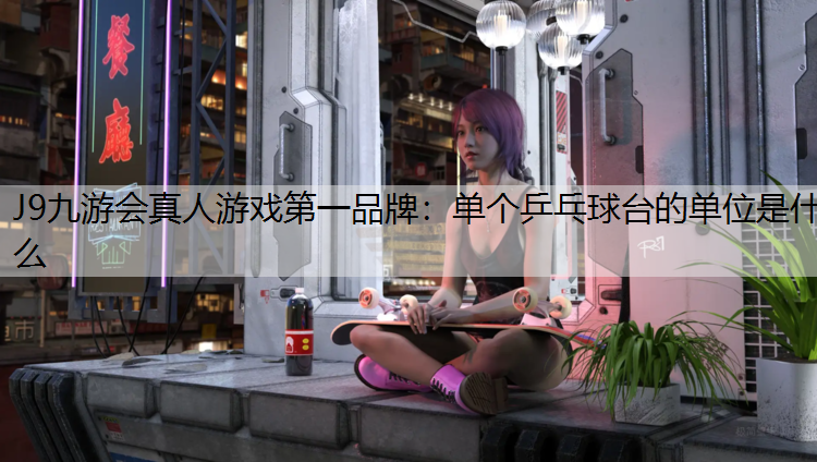 单个乒乓球台的单位是什么