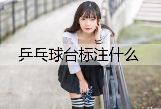 乒乓球台标注什么