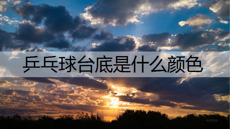 乒乓球台底是什么颜色