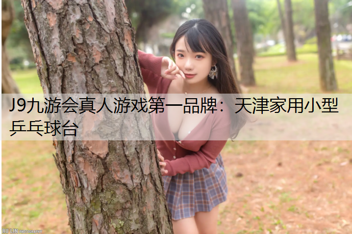 天津家用小型乒乓球台