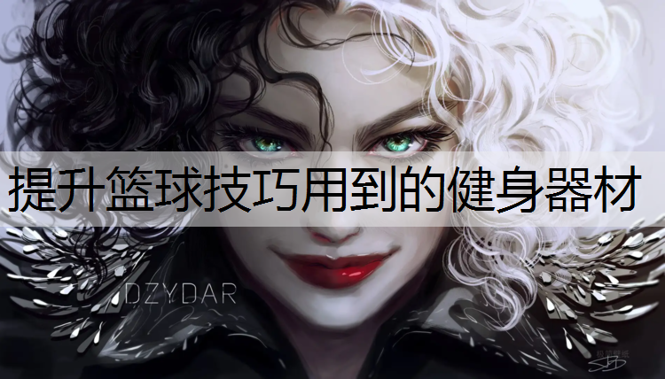 提升篮球技巧用到的健身器材