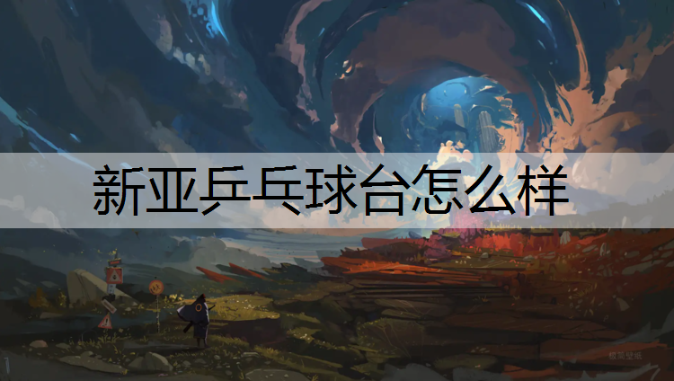 新亚乒乓球台怎么样