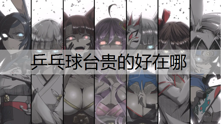 乒乓球台贵的好在哪