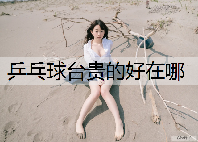 乒乓球台贵的好在哪