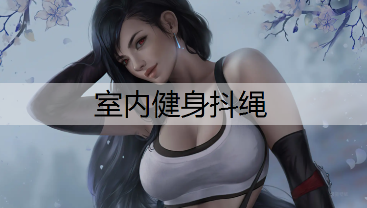 室内健身抖绳